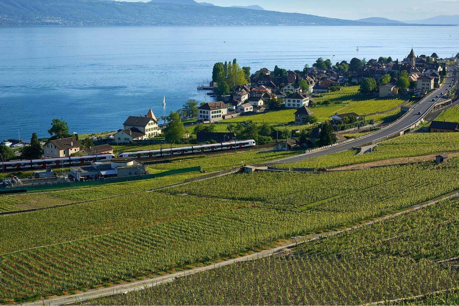 Grandvaux, the UNESCO World Heritage village in Lavaux heated by a 5ᵗʰ generation geothermal network designed with TESSA